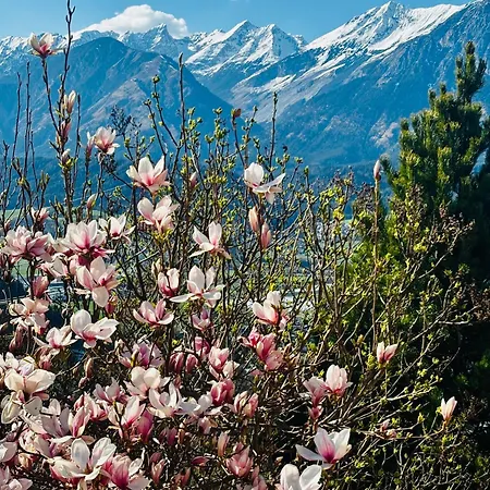 Apartman Karwendelblick - Ein Idyllischer Wohlfuehlort *