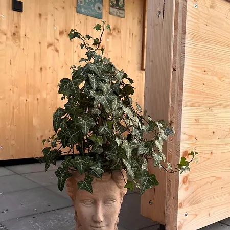 Appartement Karwendelblick - Ein Idyllischer Wohlfuehlort Wattenberg